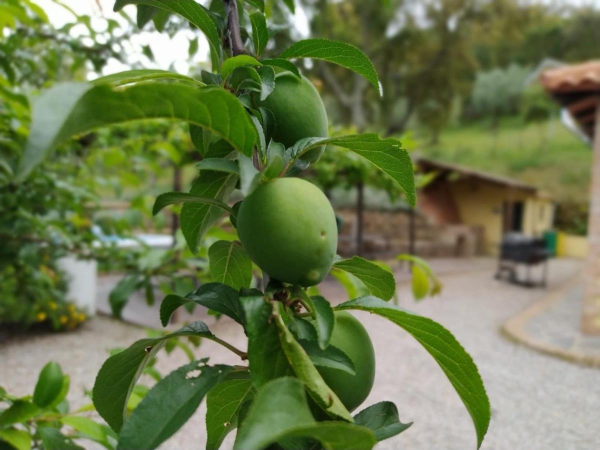 Casa Rural El Bonito Cazalla de la Sierra Eksteriør billede
