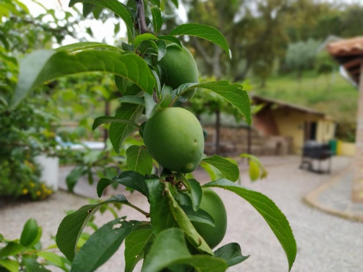 Casa Rural El Bonito Pensionat Cazalla de la Sierra Eksteriør billede