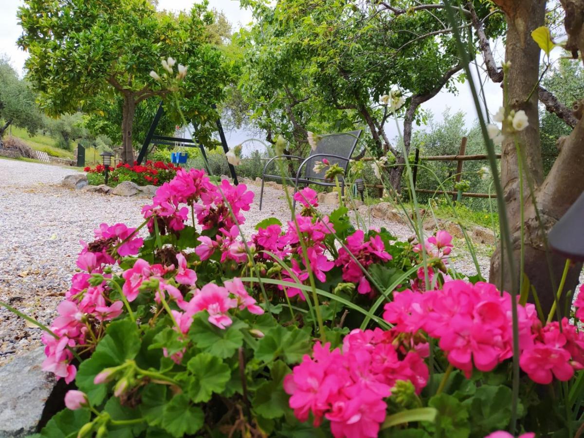 Casa Rural El Bonito Cazalla de la Sierra Eksteriør billede